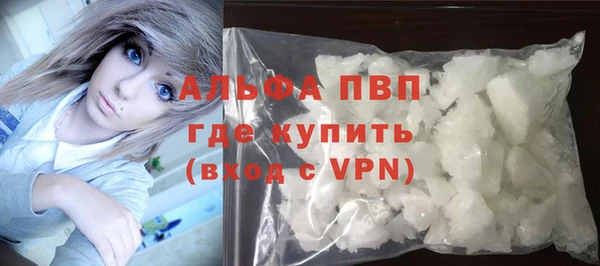 трава Карпинск