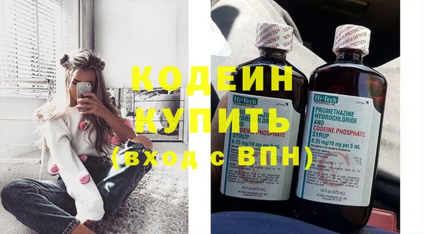 трава Карпинск