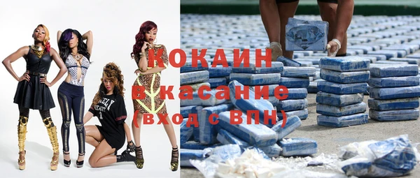 трава Карпинск