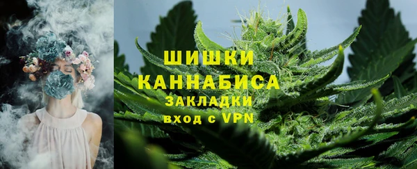 spice Касимов