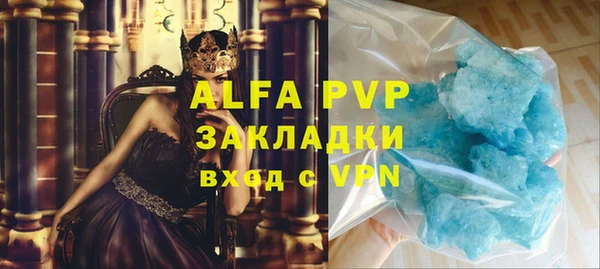 трава Карпинск