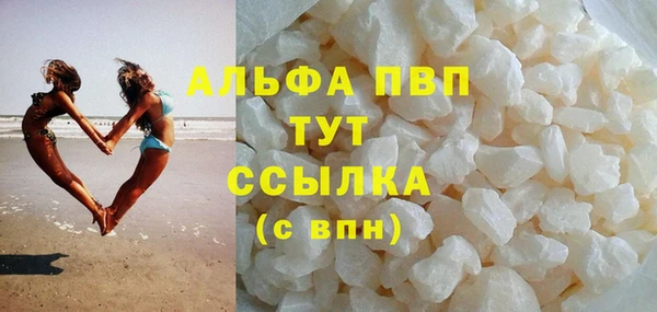 трава Карпинск