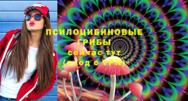 бошки Киреевск