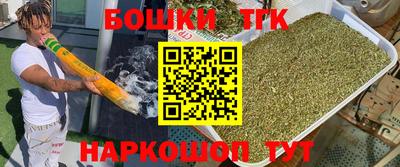 a pvp Новодвинск