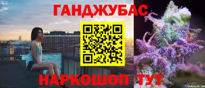 стаф Новозыбков