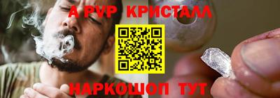 стаф Новозыбков