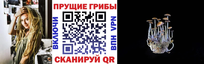 это официальный сайт  Арзамас  Псилоцибиновые грибы Cubensis  KRAKEN ТОР 
