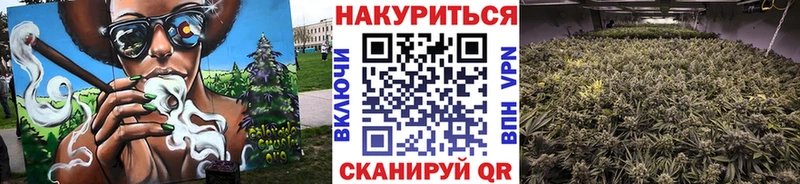 что такое   Арзамас  Бошки Шишки план 